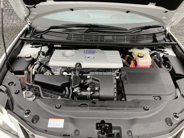 17250088