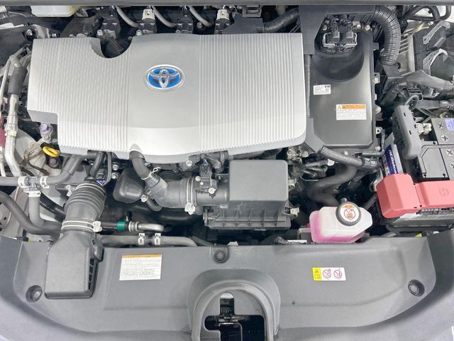 17260644