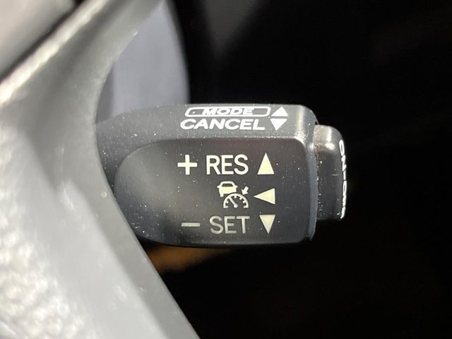 17261551