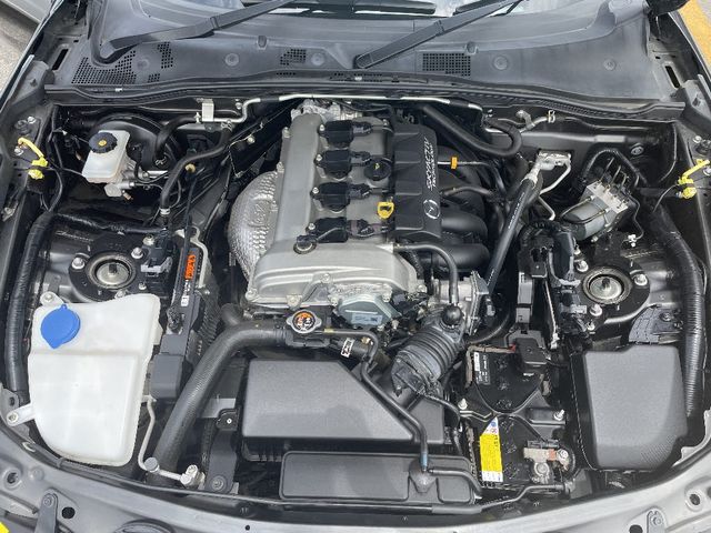 17350098