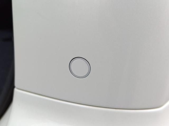 17365024