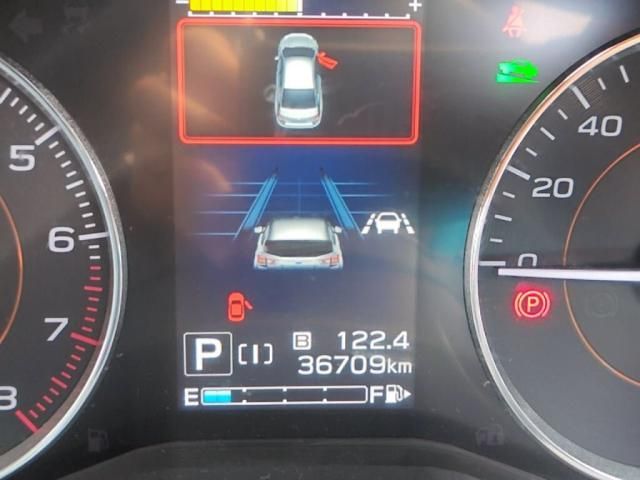 17365026