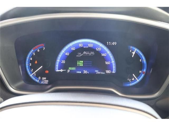17365613
