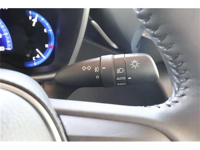 17365613