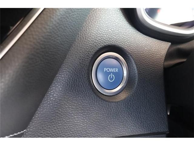 17365613