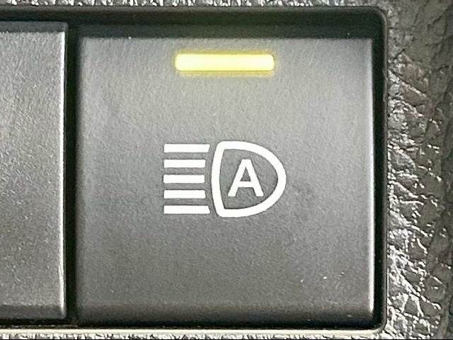 17462925