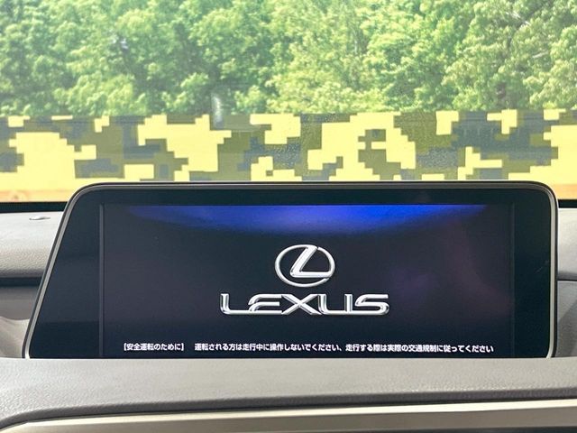 17560922