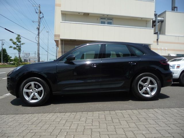 17650087