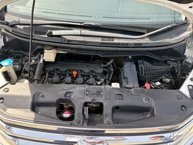 17665654