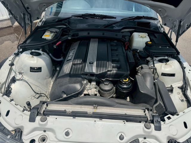 17750019
