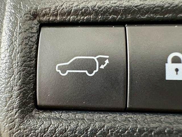 17761412
