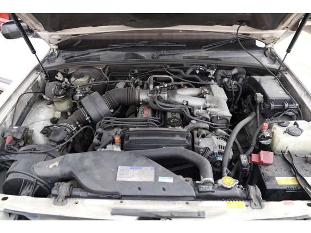 17765444