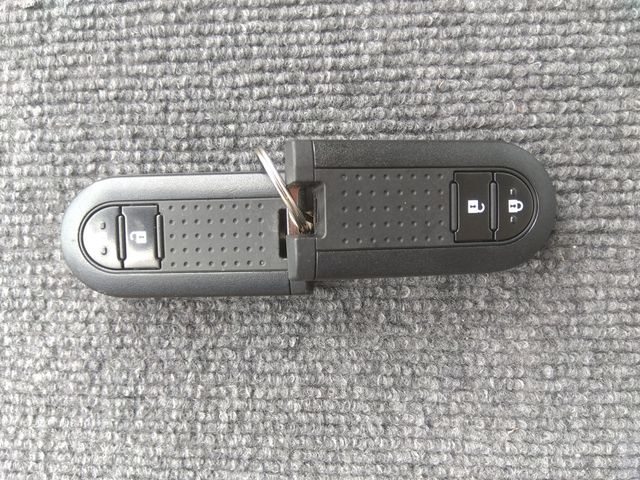 18150262