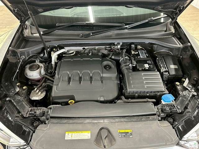 18260219