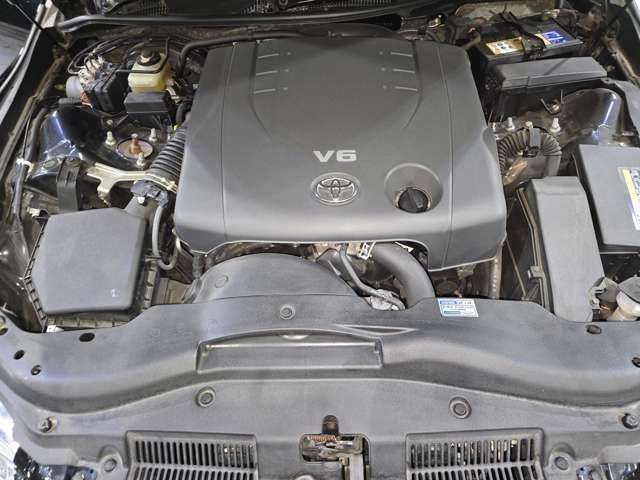 18362494
