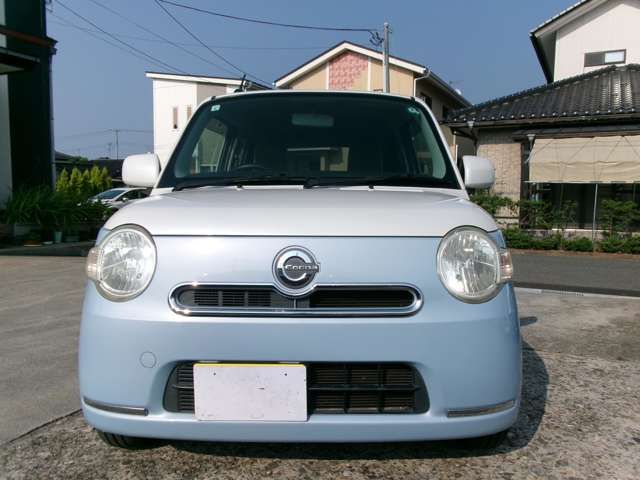 18500081