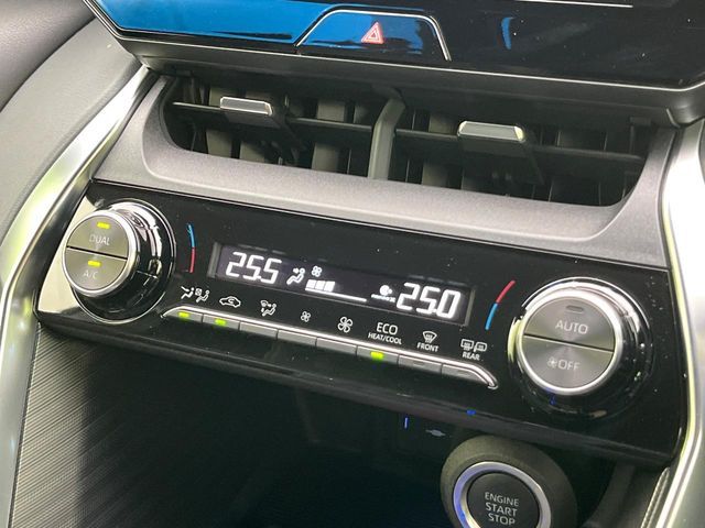 18562215