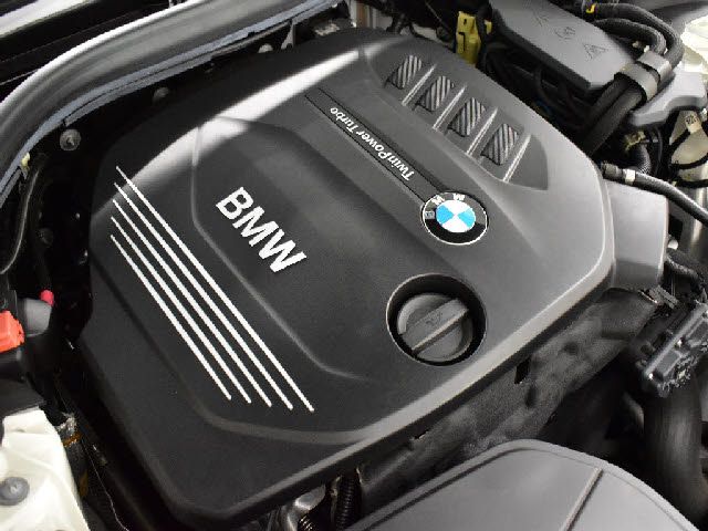 18565581