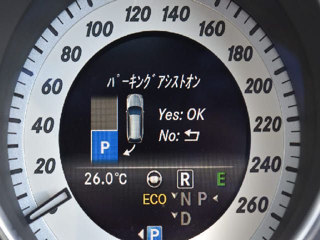 18565582