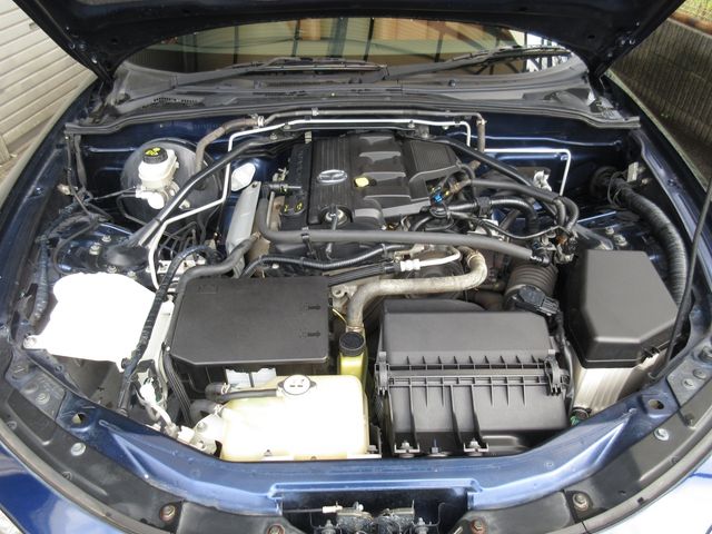18650049