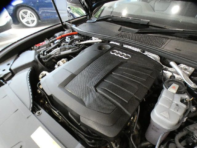 18890004