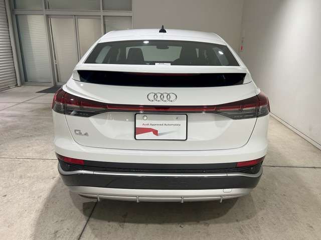 19161550