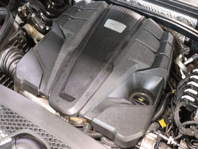 19265557