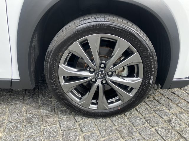 19350288