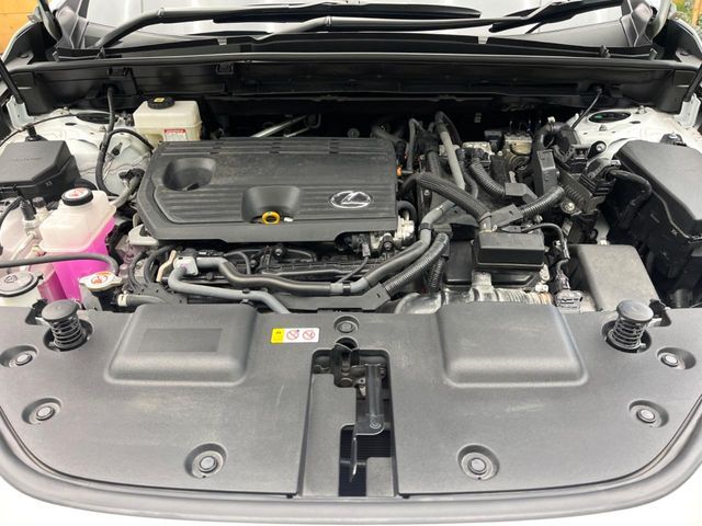 19561996