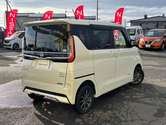 19562291