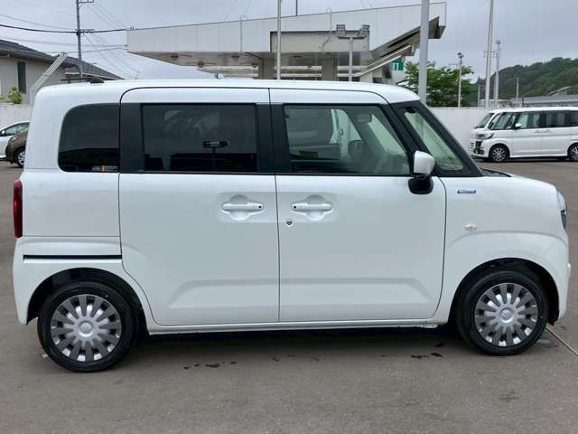 19661846