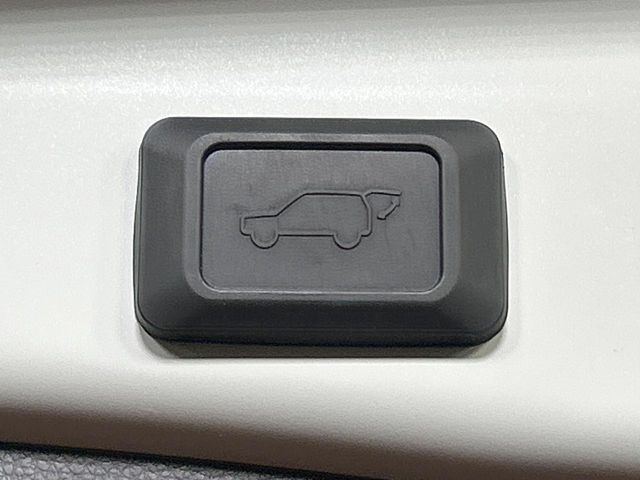 19662273