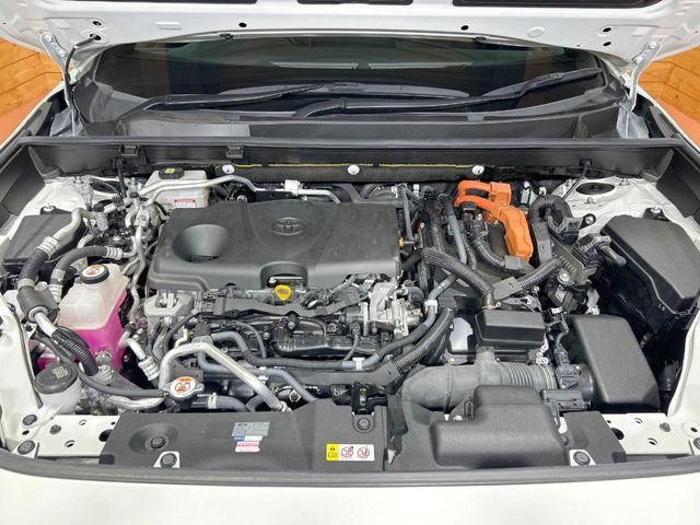 19662273