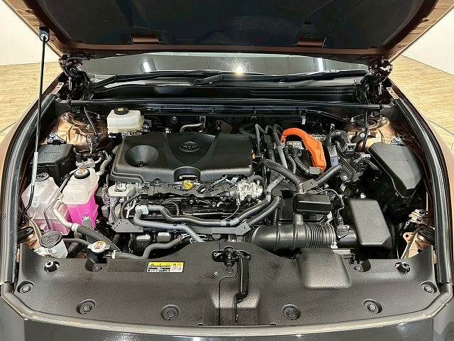 19865951