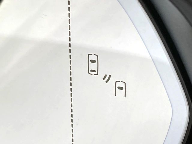 19960739
