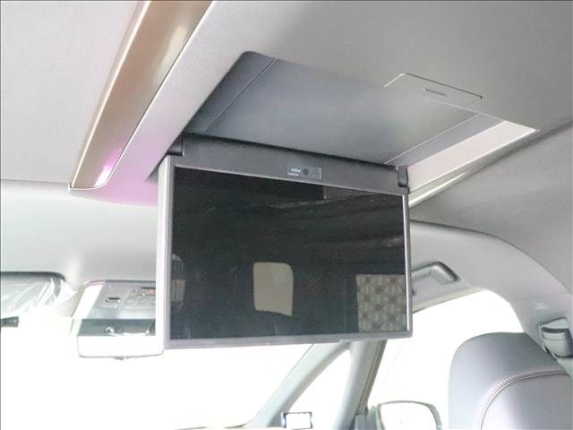 20065709