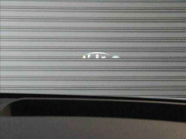 20065934