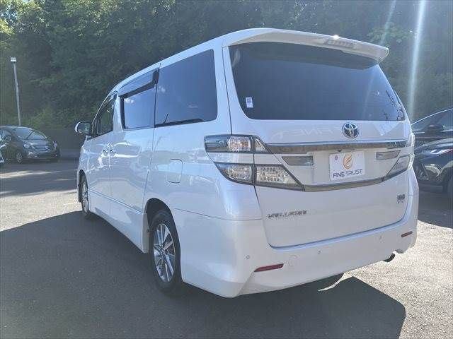 20166162