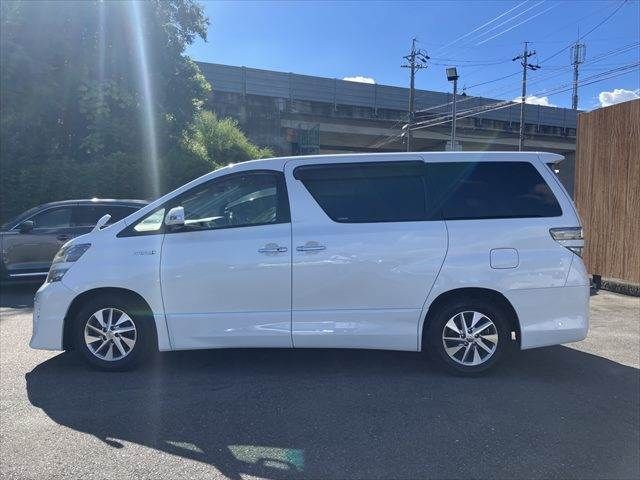 20166162