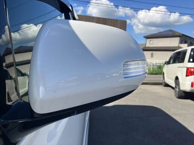 20166162