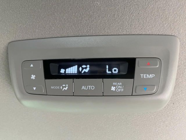 20260494