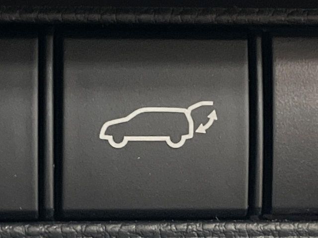 20266169