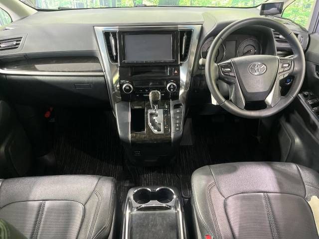 20361541