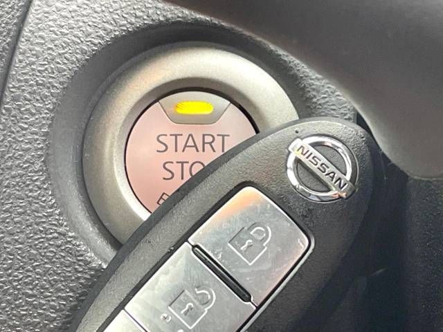 20362582