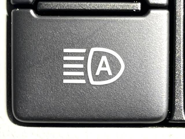 20461455