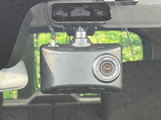 20461621