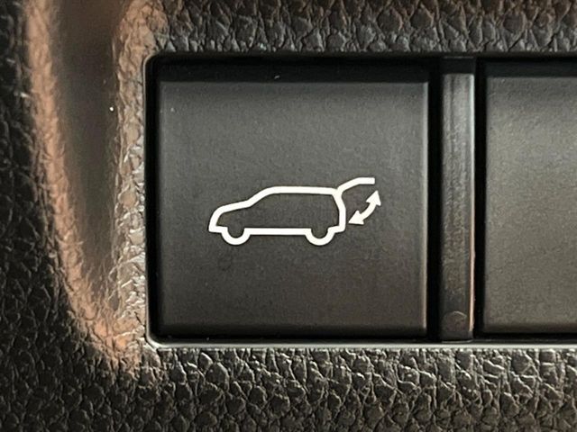 20461666