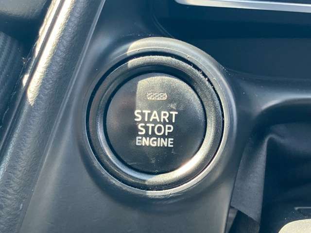 20462151