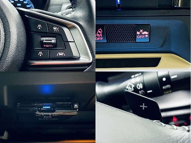 20465477