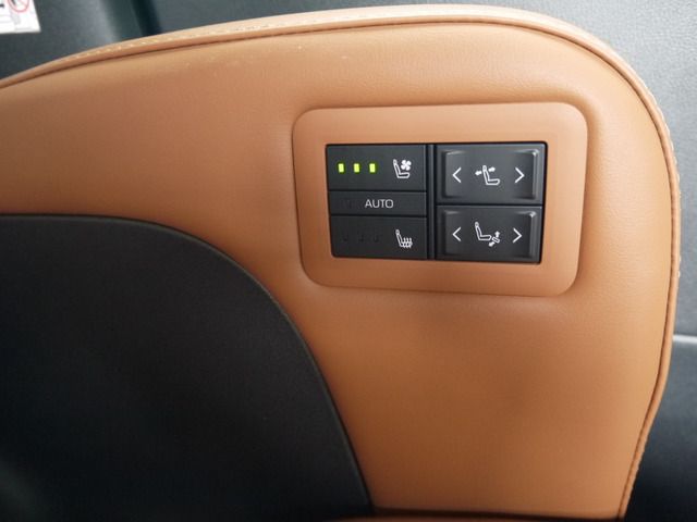 20465662